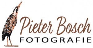 Pieter Bosch fotografie